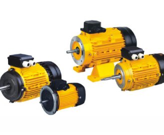 Motor for pump PMS-B